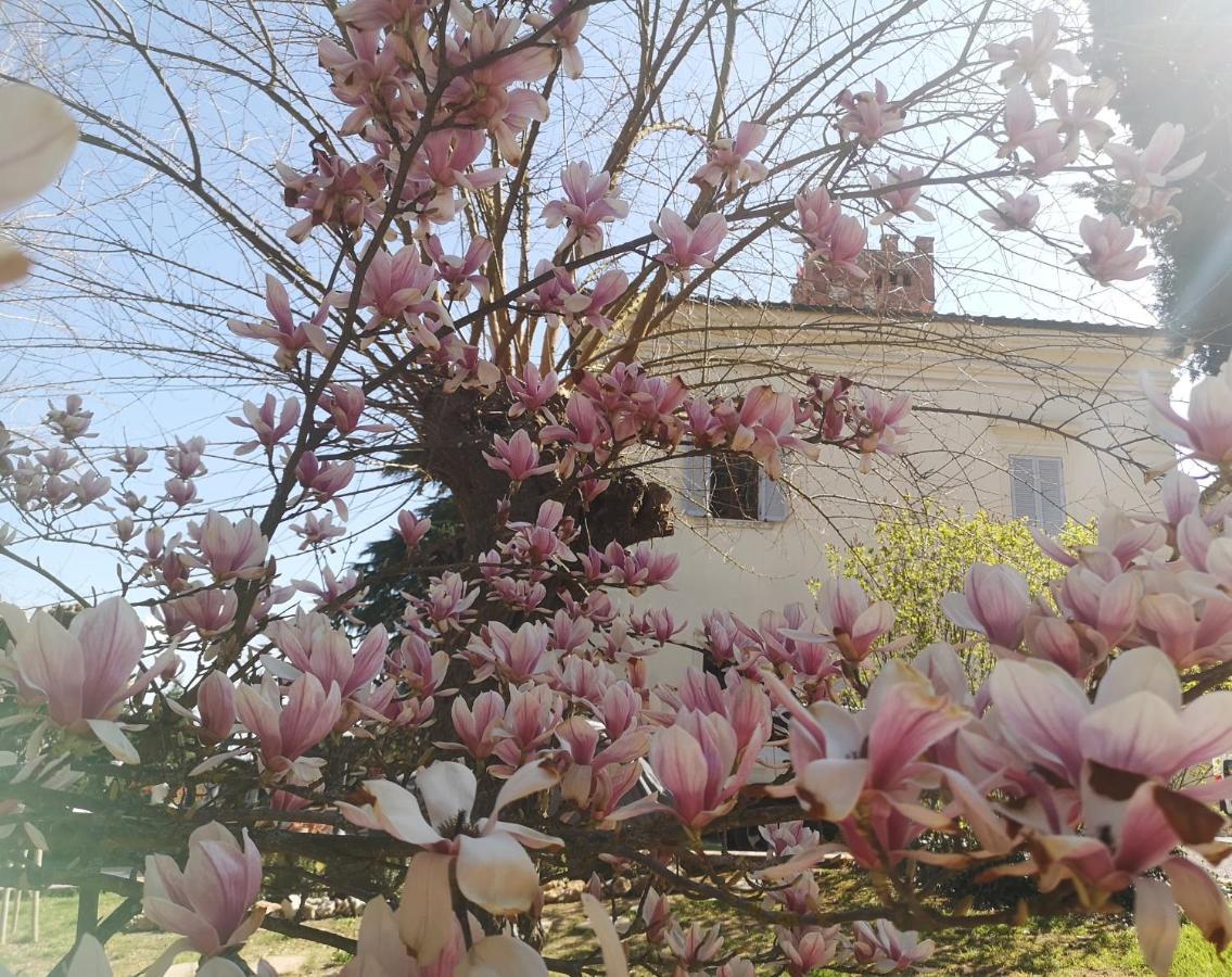 Maison Tuscany