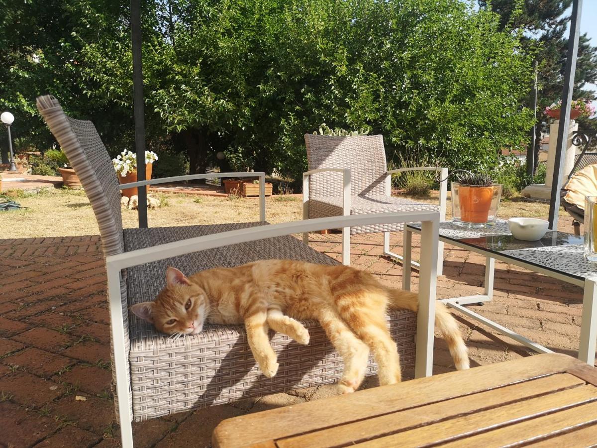 Maison Tuscany Frühstückspension Sinalunga